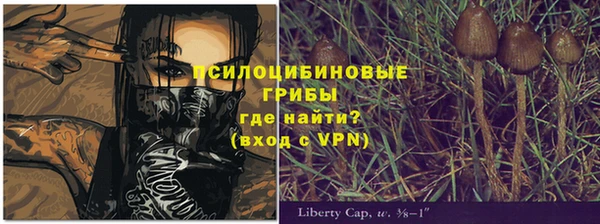мдпв Аша